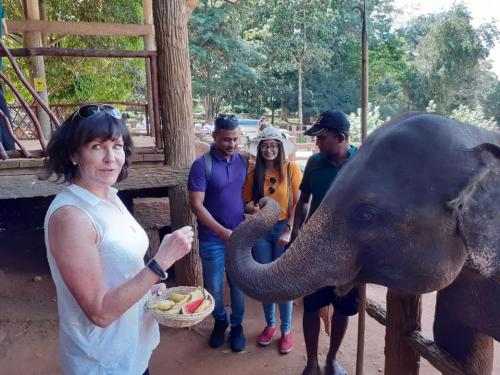 81431583 1193729187486726 4936997295376826368 n