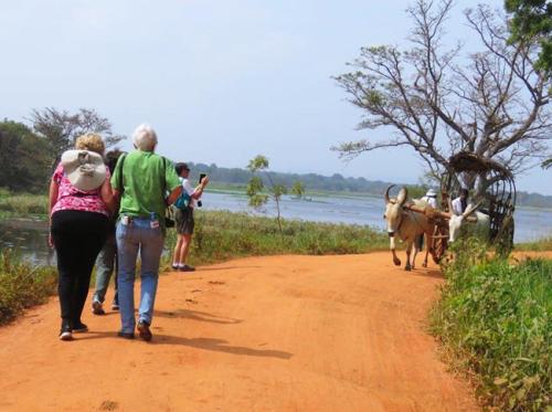 Hiriwadunna-viallage-tour-4