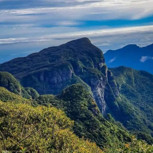 WhatsApp-Image-2023-03-10-at-09.09.58