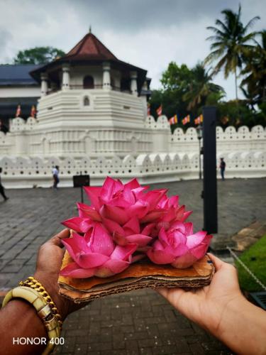 WhatsApp-Image-2025-11-12-at-19.10.51 (1) (1) (1)